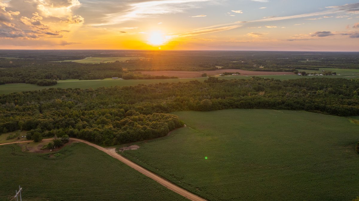 Image for The Moore Farm - 258± Acres - Row Crop Farmland, Timber, Creek Bottoms, & Food Plots - Premier Recreational Tracts w/ Improvements