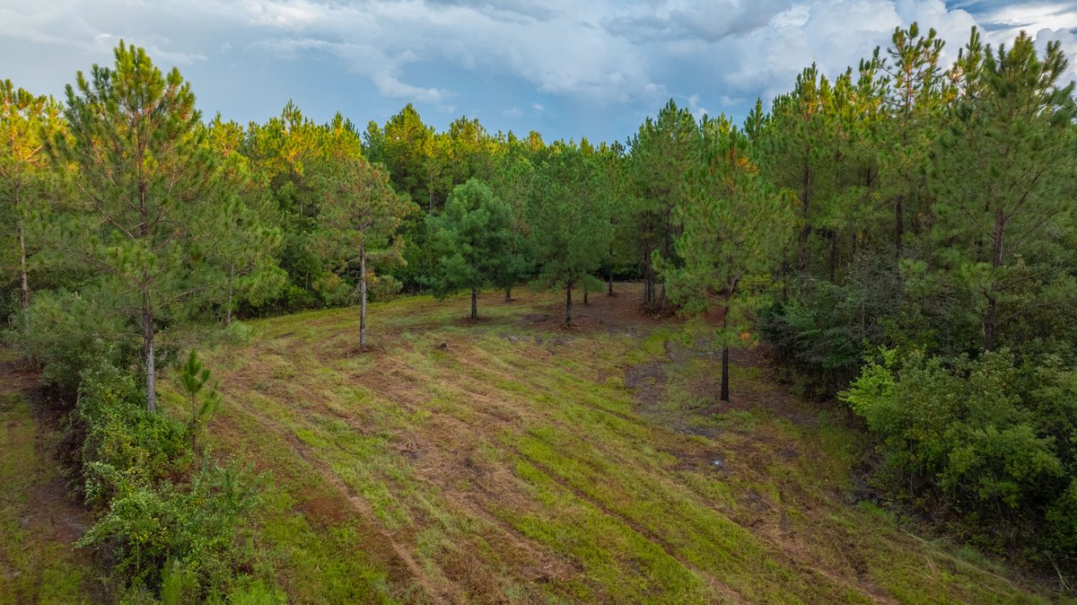 Image for The Moore Farm - 258± Acres - Row Crop Farmland, Timber, Creek Bottoms, & Food Plots - Premier Recreational Tracts w/ Improvements