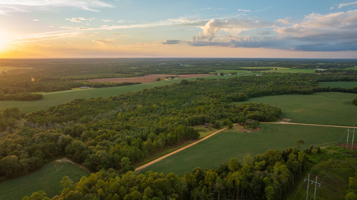 Image for The Moore Farm - 258± Acres - Row Crop Farmland, Timber, Creek Bottoms, & Food Plots - Premier Recreational Tracts w/ Improvements