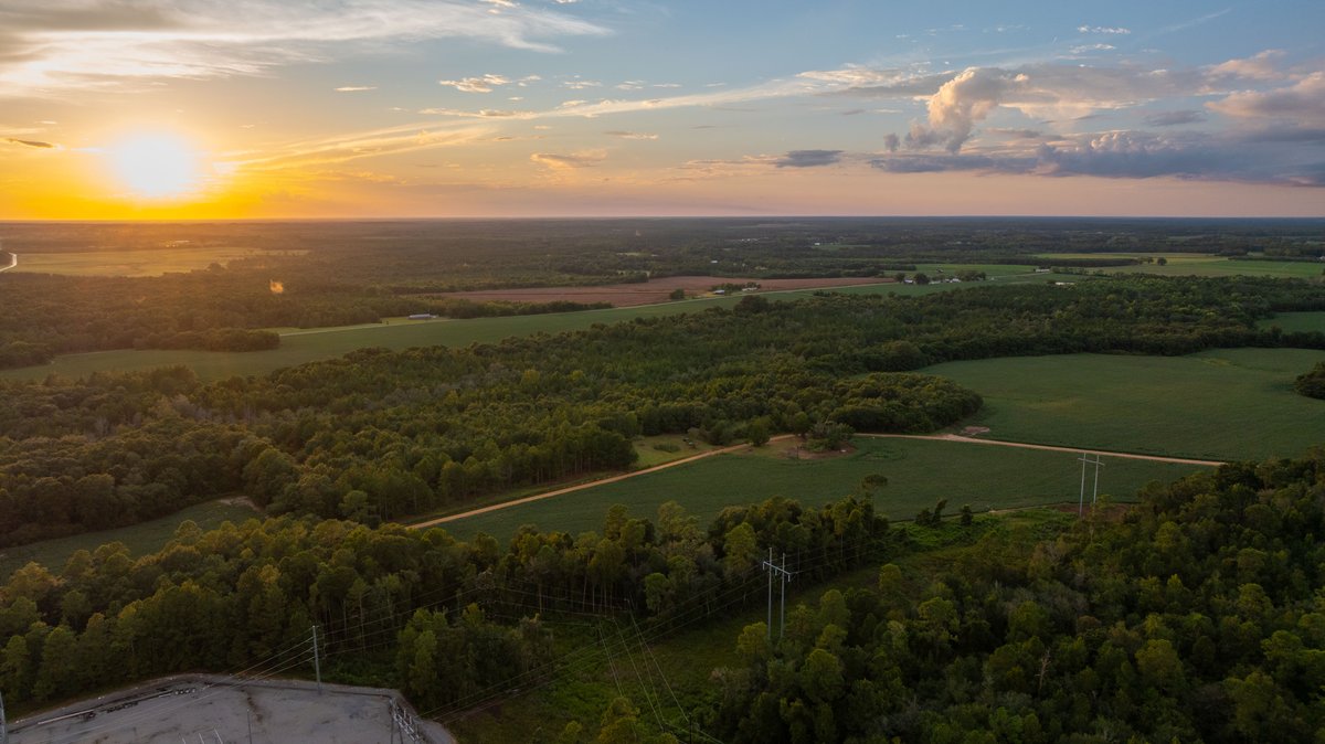 Image for The Moore Farm - 258± Acres - Row Crop Farmland, Timber, Creek Bottoms, & Food Plots - Premier Recreational Tracts w/ Improvements