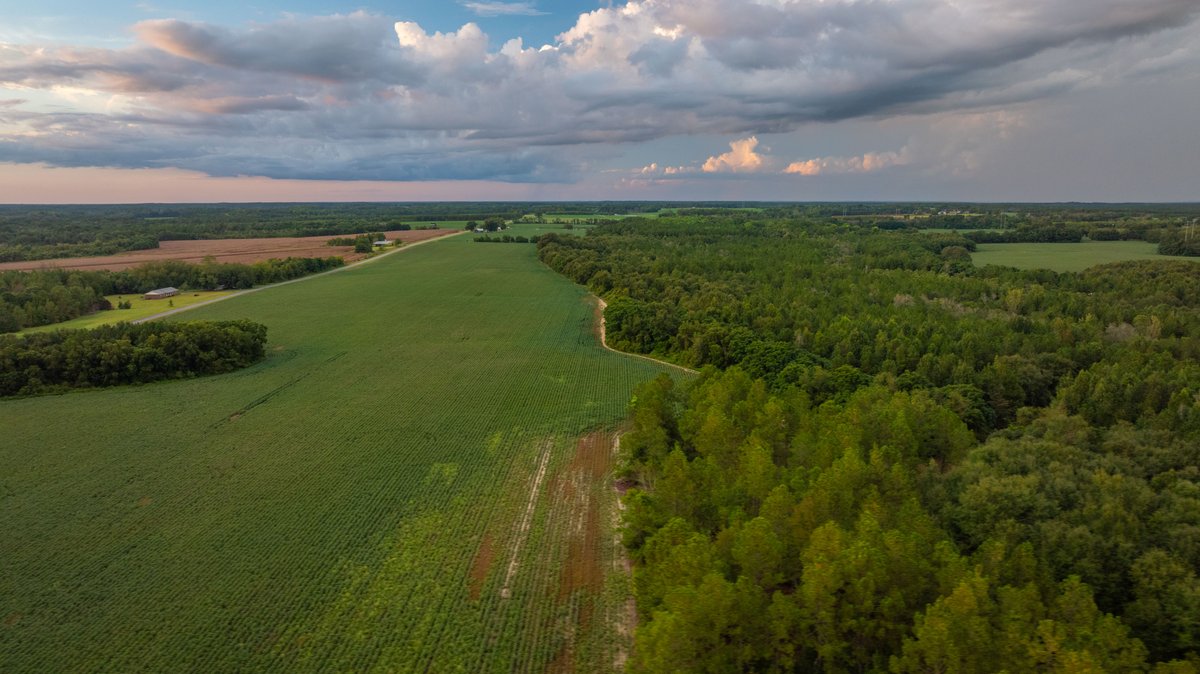 Image for The Moore Farm - 258± Acres - Row Crop Farmland, Timber, Creek Bottoms, & Food Plots - Premier Recreational Tracts w/ Improvements