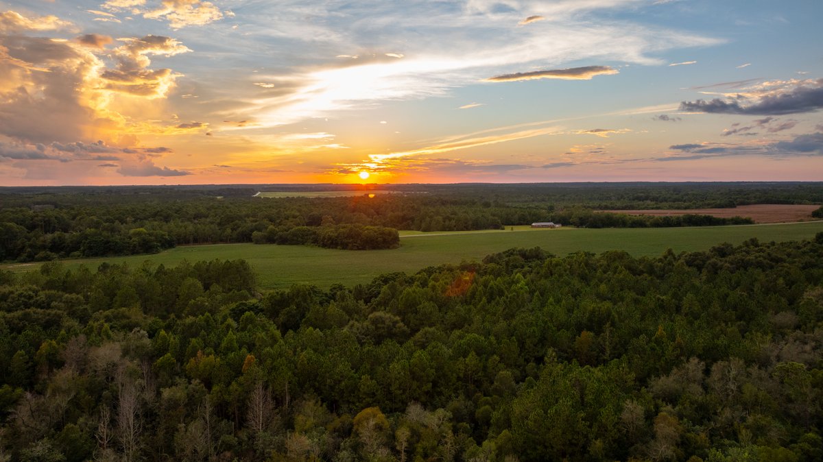 Image for The Moore Farm - 258± Acres - Row Crop Farmland, Timber, Creek Bottoms, & Food Plots - Premier Recreational Tracts w/ Improvements