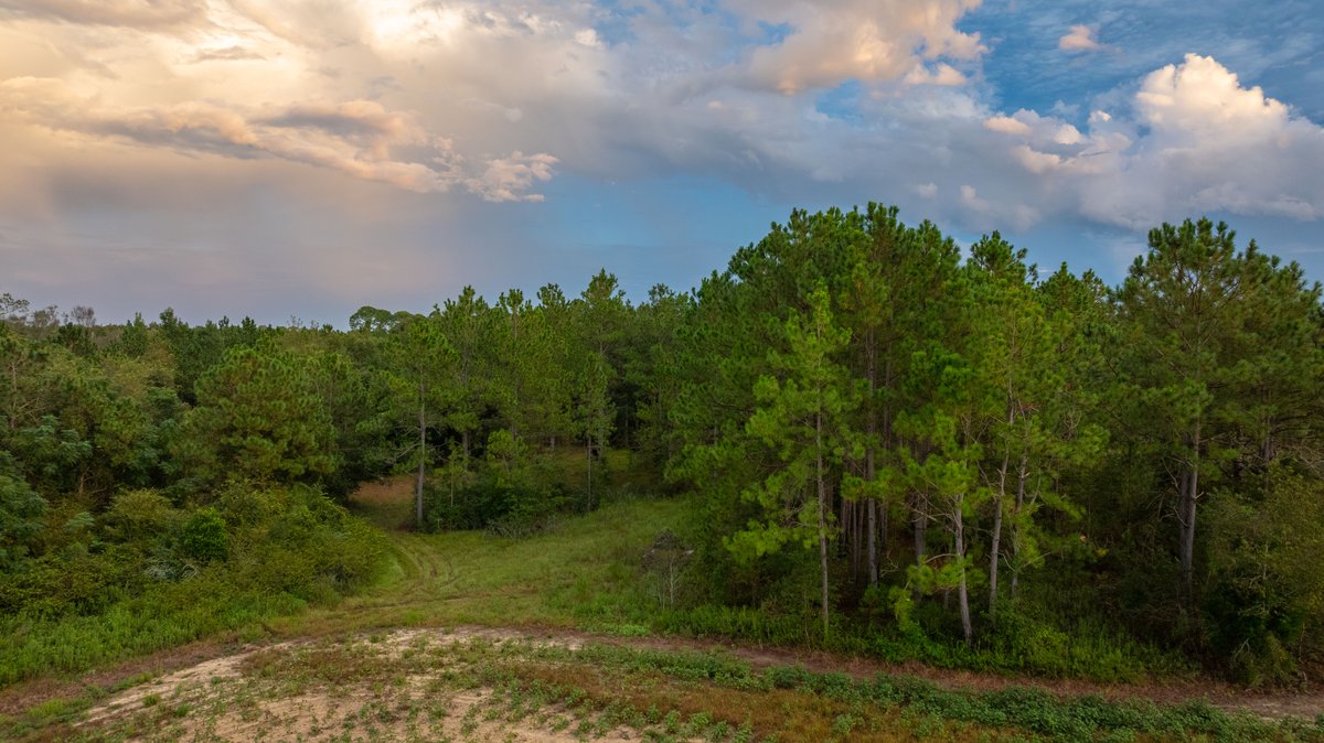 Image for The Moore Farm - 258± Acres - Row Crop Farmland, Timber, Creek Bottoms, & Food Plots - Premier Recreational Tracts w/ Improvements
