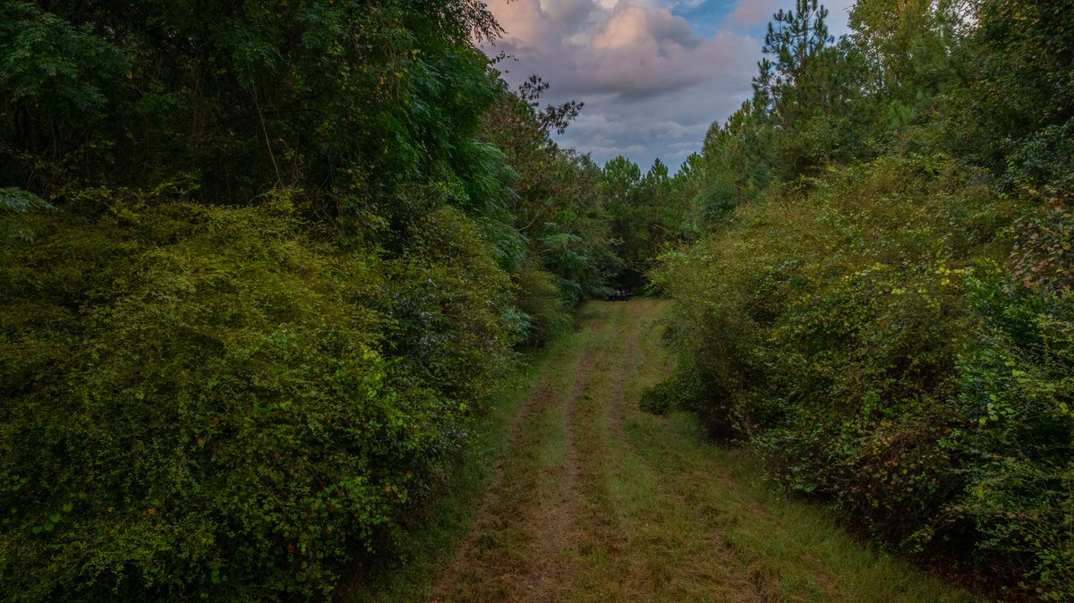 Image for The Moore Farm - 258± Acres - Row Crop Farmland, Timber, Creek Bottoms, & Food Plots - Premier Recreational Tracts w/ Improvements