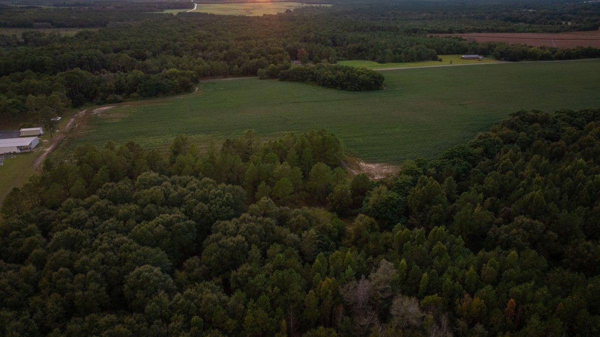 Image for The Moore Farm - 258± Acres - Row Crop Farmland, Timber, Creek Bottoms, & Food Plots - Premier Recreational Tracts w/ Improvements