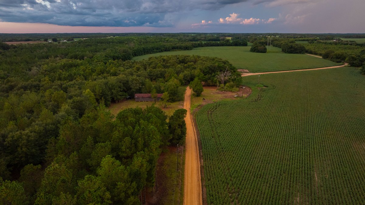 Image for The Moore Farm - 258± Acres - Row Crop Farmland, Timber, Creek Bottoms, & Food Plots - Premier Recreational Tracts w/ Improvements