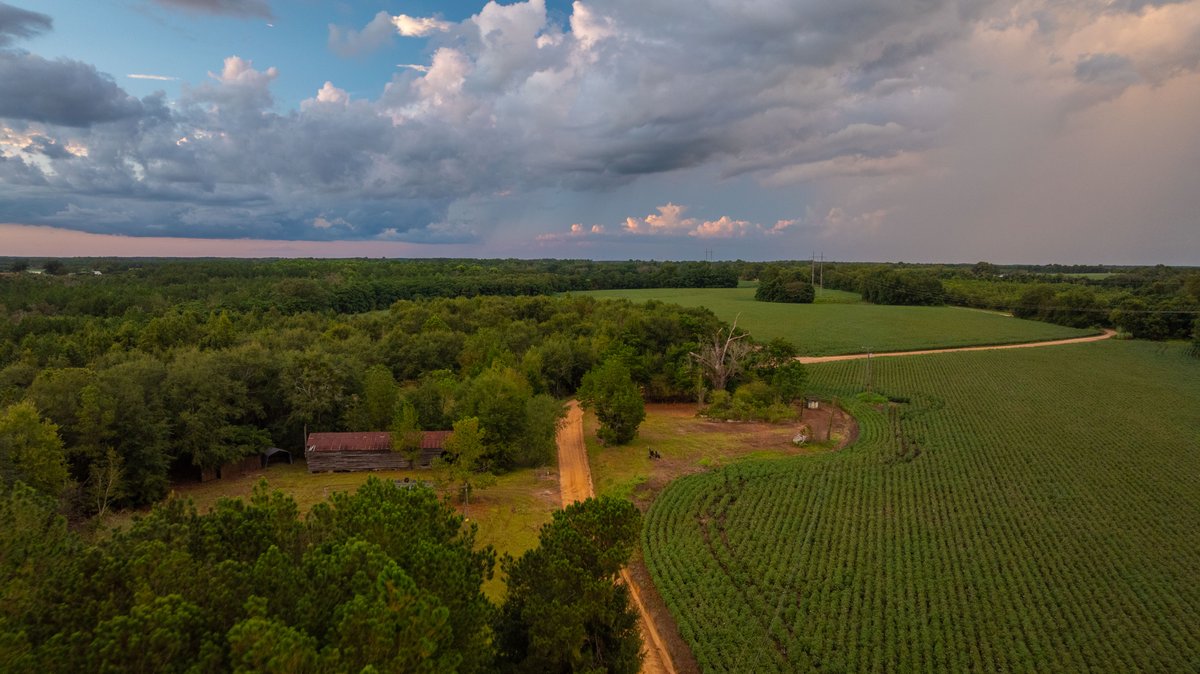 Image for The Moore Farm - 258± Acres - Row Crop Farmland, Timber, Creek Bottoms, & Food Plots - Premier Recreational Tracts w/ Improvements