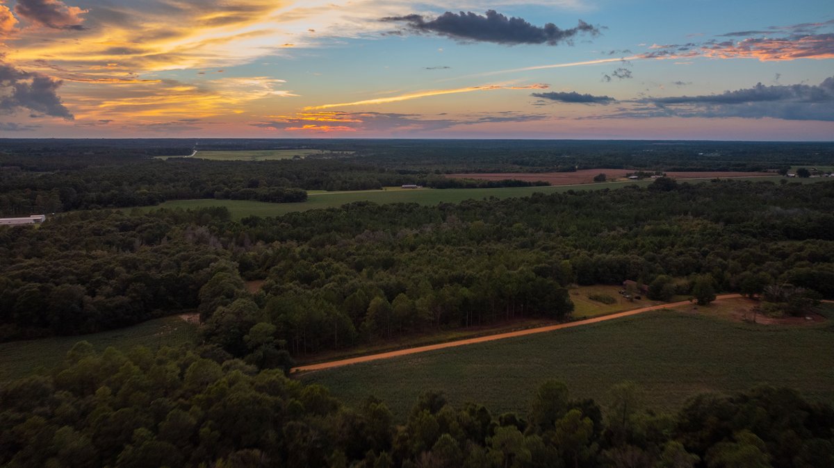 Image for The Moore Farm - 258± Acres - Row Crop Farmland, Timber, Creek Bottoms, & Food Plots - Premier Recreational Tracts w/ Improvements