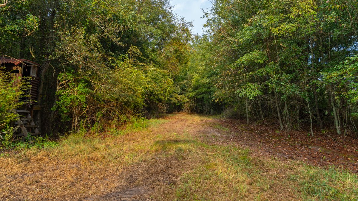 Image for The Moore Farm - 258± Acres - Row Crop Farmland, Timber, Creek Bottoms, & Food Plots - Premier Recreational Tracts w/ Improvements