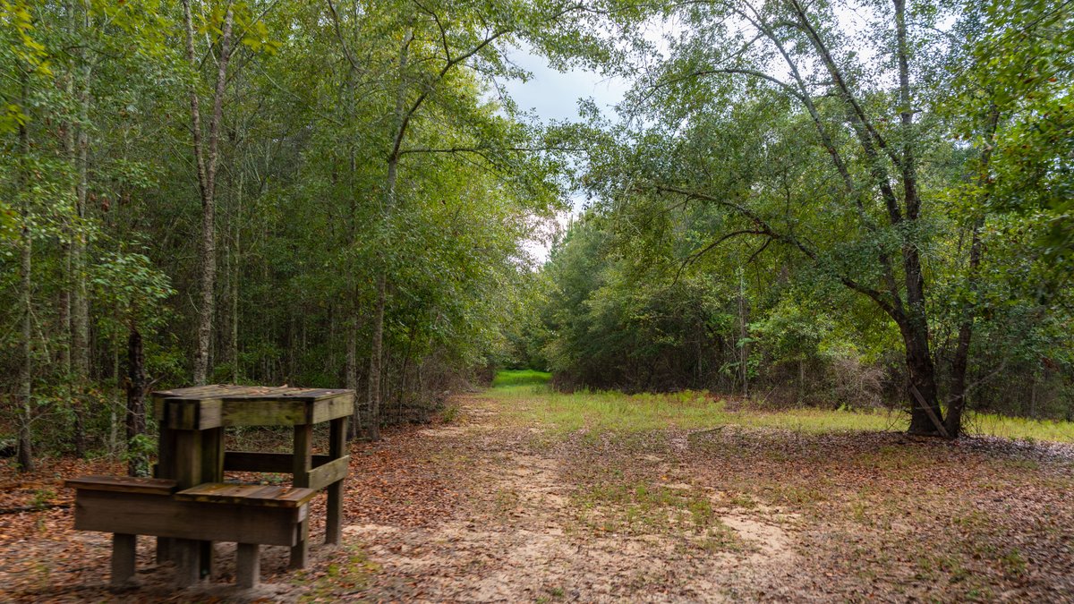 Image for The Moore Farm - 258± Acres - Row Crop Farmland, Timber, Creek Bottoms, & Food Plots - Premier Recreational Tracts w/ Improvements