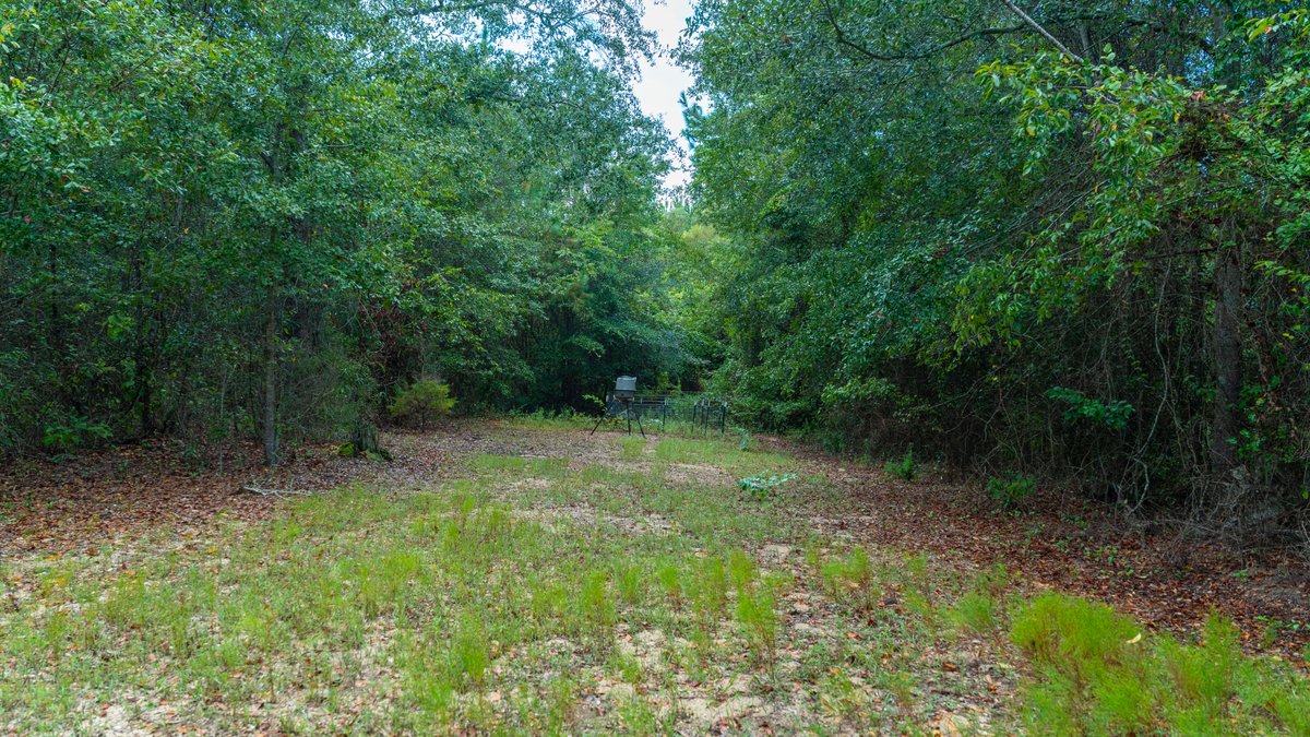 Image for The Moore Farm - 258± Acres - Row Crop Farmland, Timber, Creek Bottoms, & Food Plots - Premier Recreational Tracts w/ Improvements