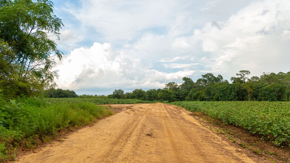 Image for The Moore Farm - 258± Acres - Row Crop Farmland, Timber, Creek Bottoms, & Food Plots - Premier Recreational Tracts w/ Improvements