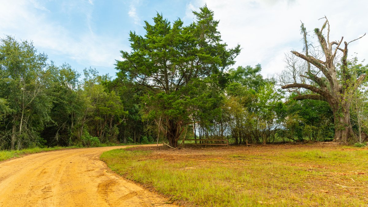 Image for The Moore Farm - 258± Acres - Row Crop Farmland, Timber, Creek Bottoms, & Food Plots - Premier Recreational Tracts w/ Improvements