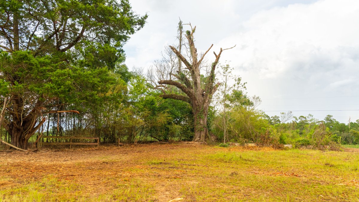 Image for The Moore Farm - 258± Acres - Row Crop Farmland, Timber, Creek Bottoms, & Food Plots - Premier Recreational Tracts w/ Improvements