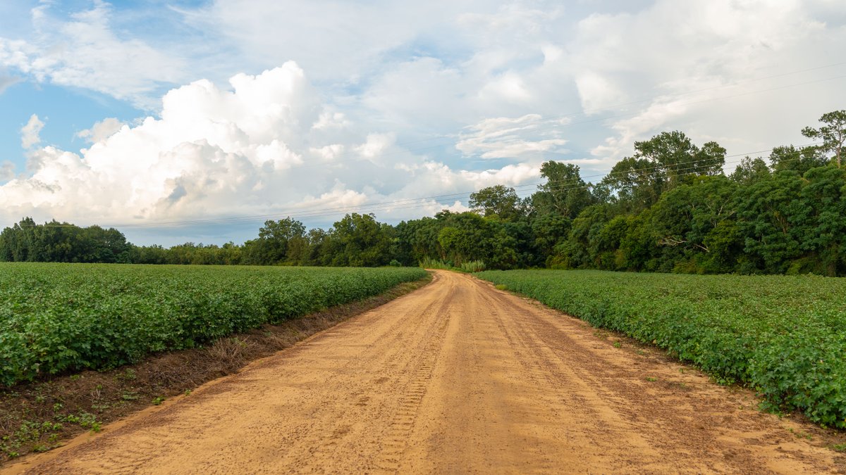 Image for The Moore Farm - 258± Acres - Row Crop Farmland, Timber, Creek Bottoms, & Food Plots - Premier Recreational Tracts w/ Improvements