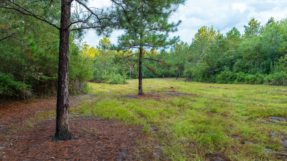 Image for The Moore Farm - 258± Acres - Row Crop Farmland, Timber, Creek Bottoms, & Food Plots - Premier Recreational Tracts w/ Improvements