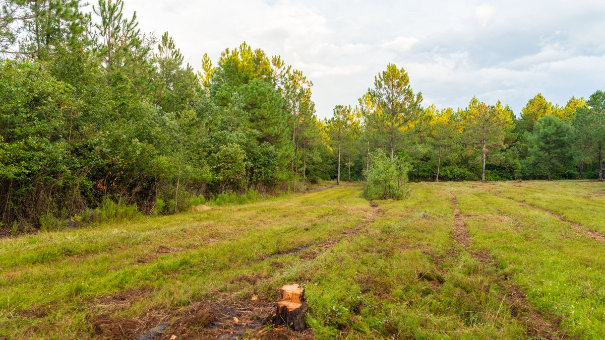 Image for The Moore Farm - 258± Acres - Row Crop Farmland, Timber, Creek Bottoms, & Food Plots - Premier Recreational Tracts w/ Improvements