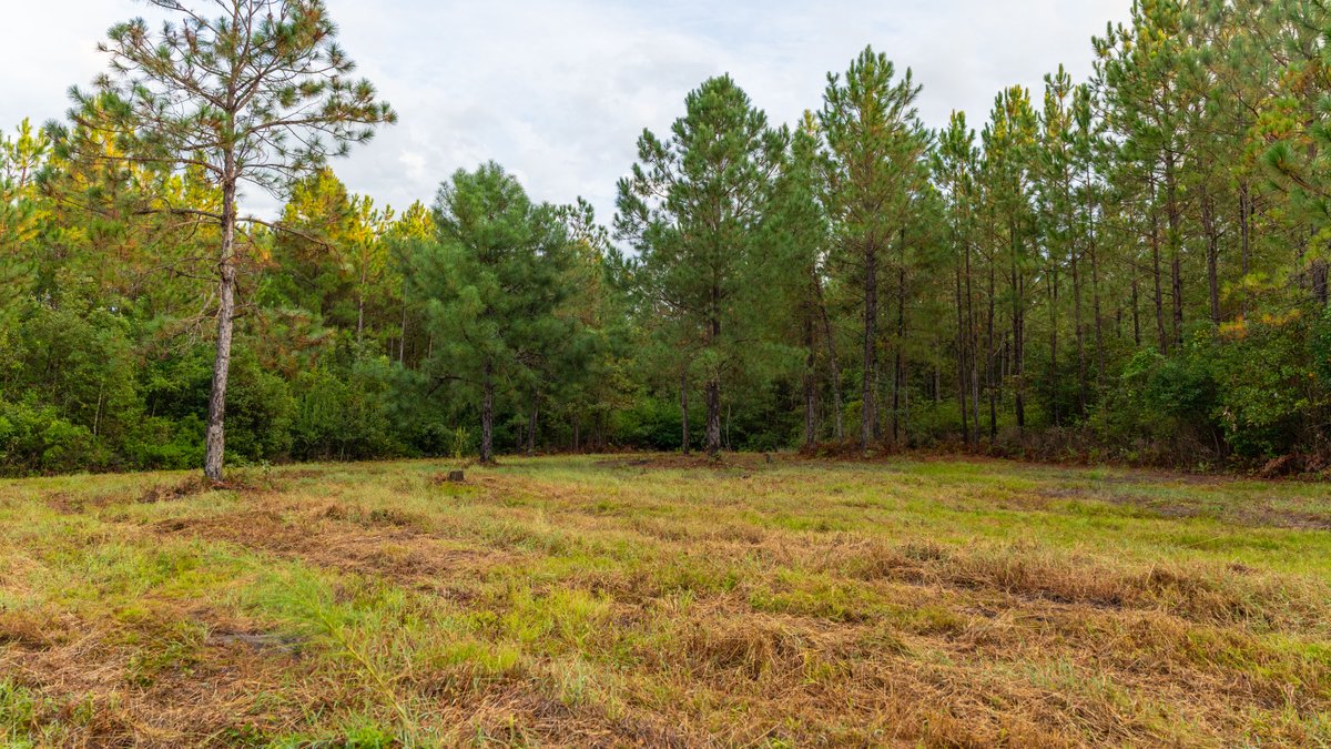 Image for The Moore Farm - 258± Acres - Row Crop Farmland, Timber, Creek Bottoms, & Food Plots - Premier Recreational Tracts w/ Improvements