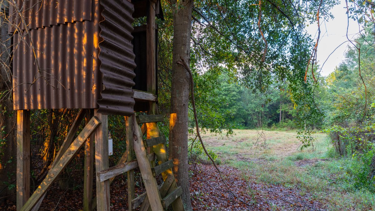 Image for The Moore Farm - 258± Acres - Row Crop Farmland, Timber, Creek Bottoms, & Food Plots - Premier Recreational Tracts w/ Improvements
