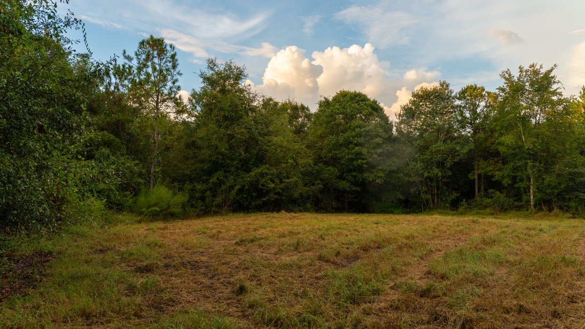 Image for The Moore Farm - 258± Acres - Row Crop Farmland, Timber, Creek Bottoms, & Food Plots - Premier Recreational Tracts w/ Improvements