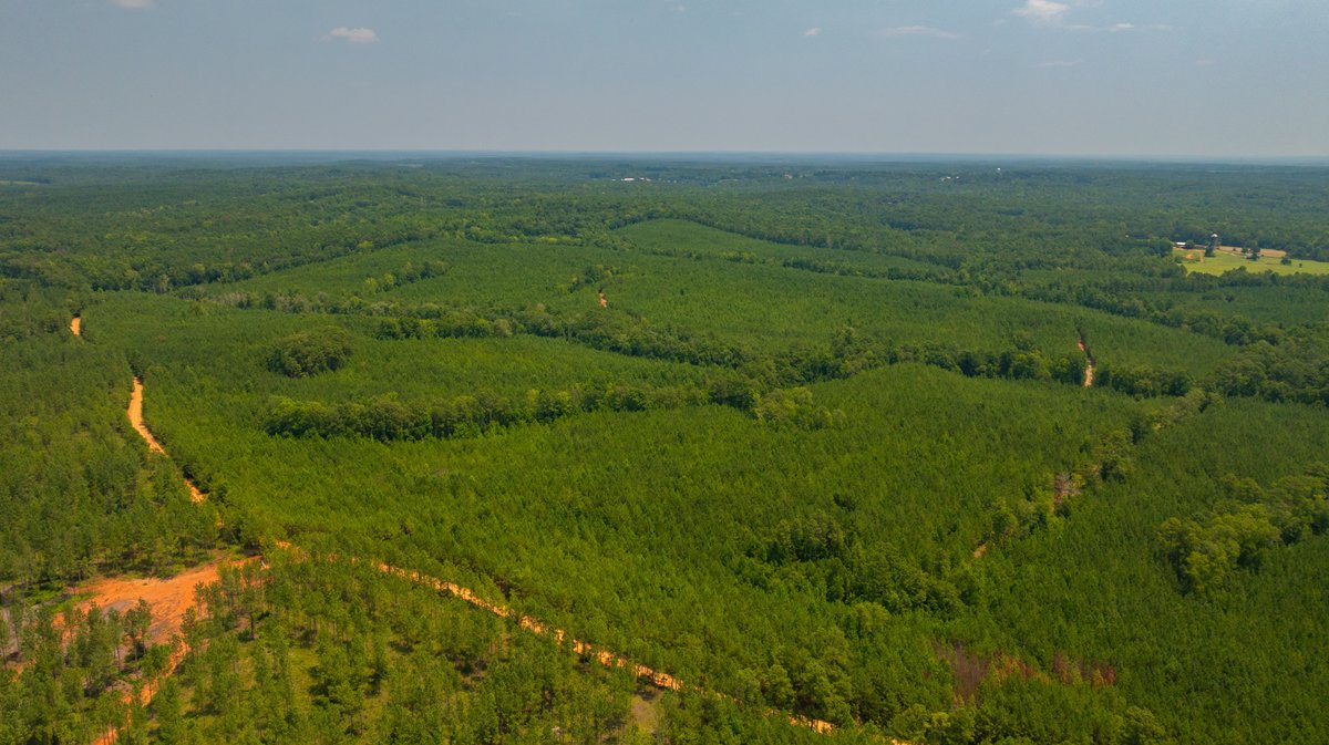 Image for The Martin Branch Retreat - 227± Acres - Crawford County, Georgia - Exceptional Hunting, Homesite Opportunities & Timber Investment