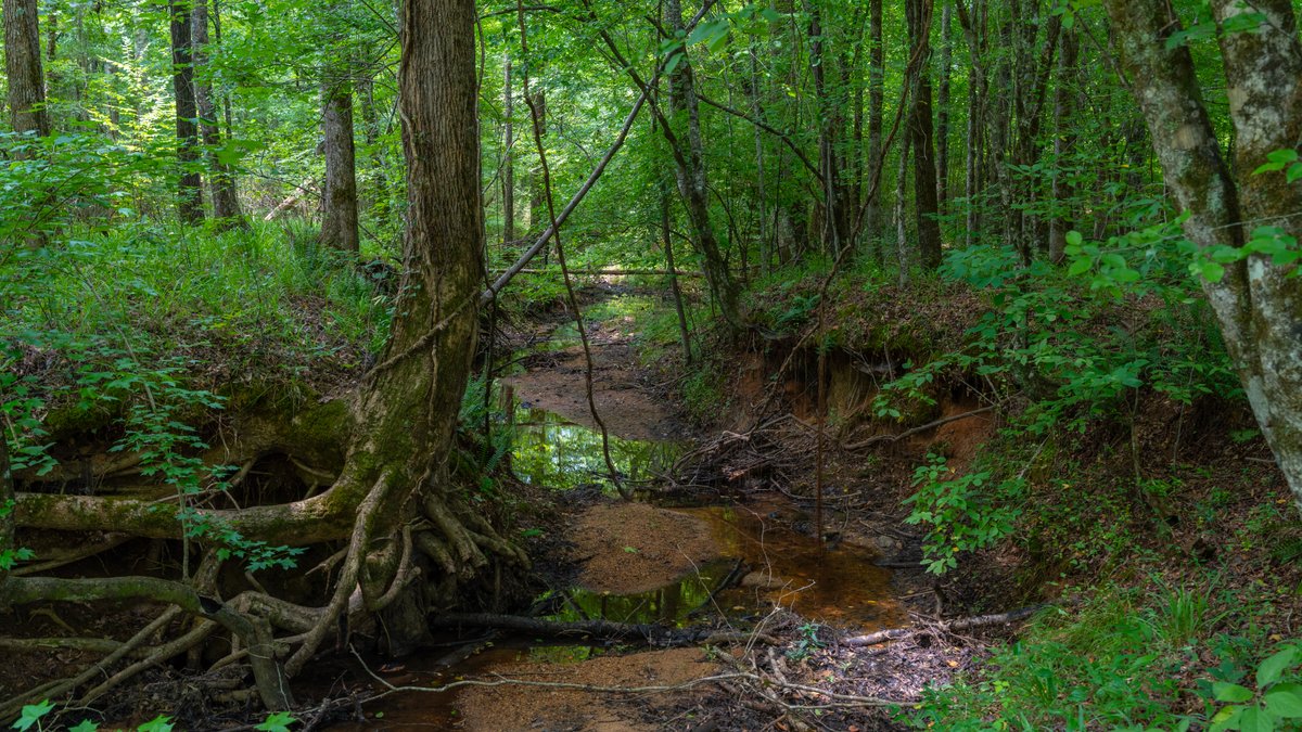 Image for The Martin Branch Retreat - 227± Acres - Crawford County, Georgia - Exceptional Hunting, Homesite Opportunities & Timber Investment