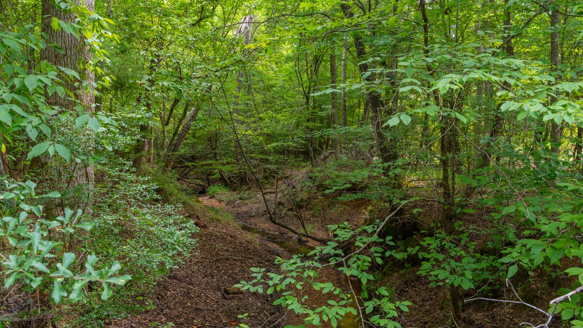 Image for The Martin Branch Retreat - 227± Acres - Crawford County, Georgia - Exceptional Hunting, Homesite Opportunities & Timber Investment