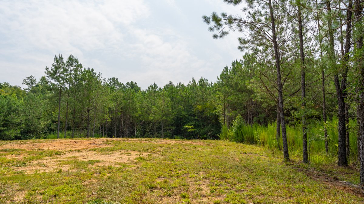 Image for The Martin Branch Retreat - 227± Acres - Crawford County, Georgia - Exceptional Hunting, Homesite Opportunities & Timber Investment