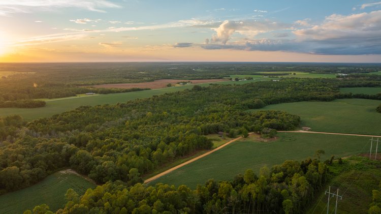 Image for The Moore Farm - 258± Acres Row Crop Farmland, Timber, Creek Bottoms, & Food Plots - Premier Recreational Tracts w/ Improvements
