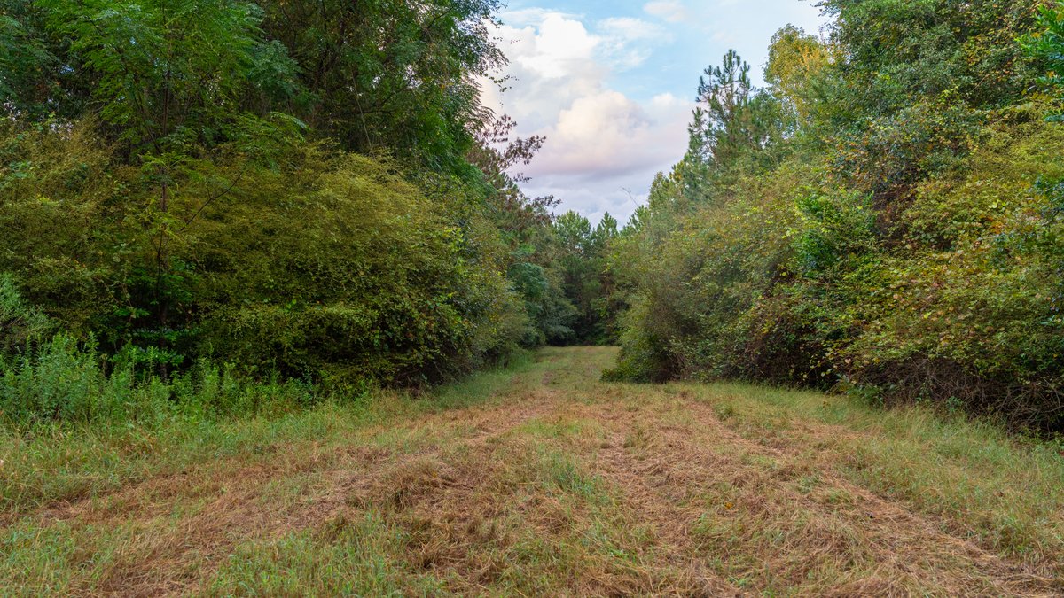 Image for The Moore Farm - 258± Acres Row Crop Farmland, Timber, Creek Bottoms, & Food Plots - Premier Recreational Tracts w/ Improvements