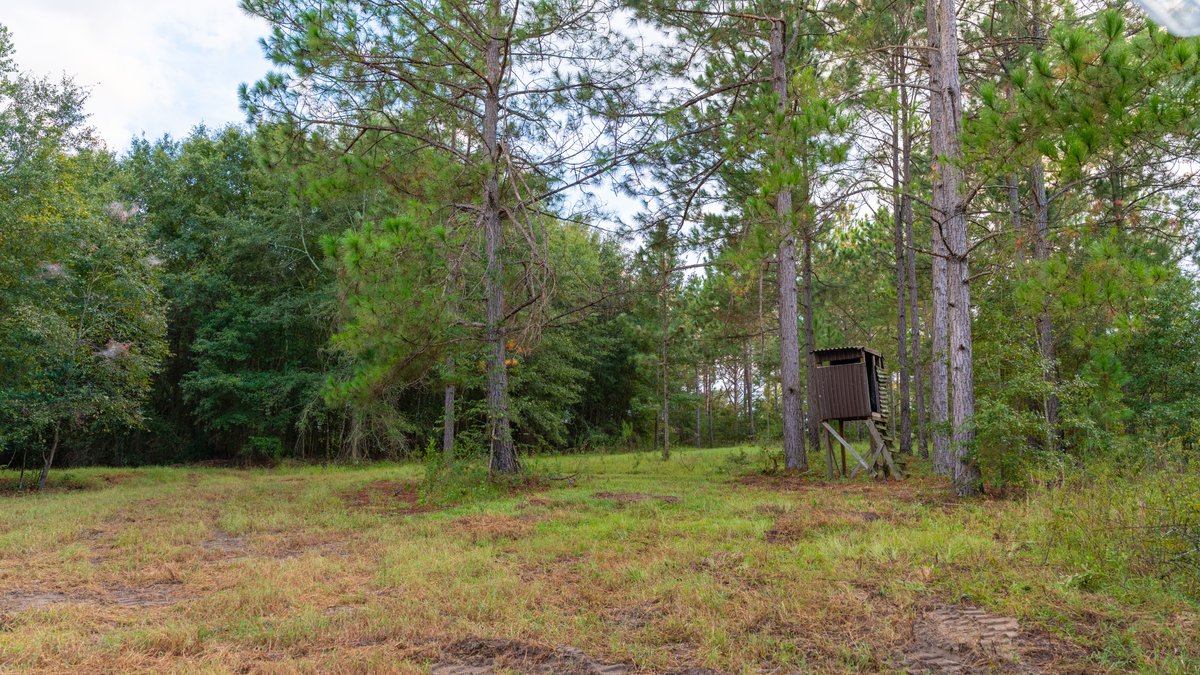 Image for The Moore Farm - 258± Acres Row Crop Farmland, Timber, Creek Bottoms, & Food Plots - Premier Recreational Tracts w/ Improvements