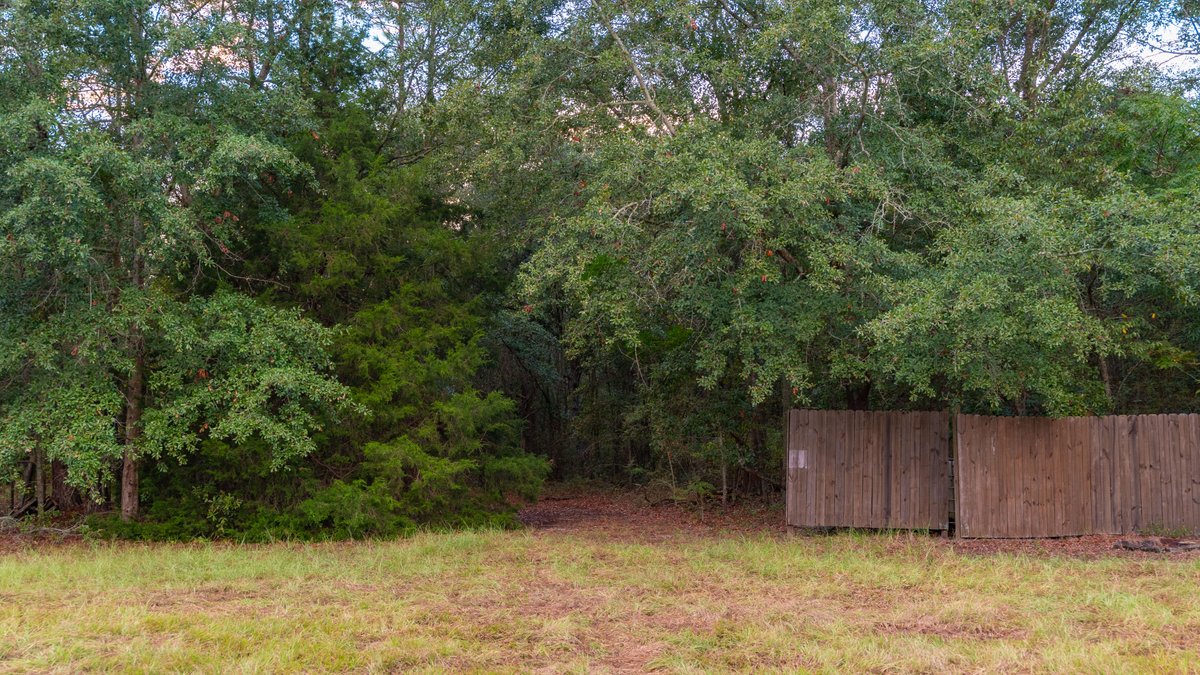 Image for The Moore Farm - 258± Acres Row Crop Farmland, Timber, Creek Bottoms, & Food Plots - Premier Recreational Tracts w/ Improvements