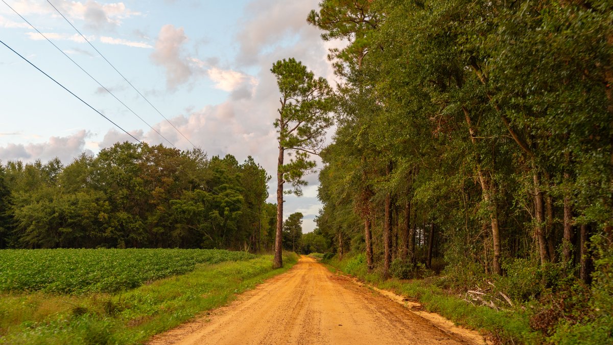 Image for The Moore Farm - 258± Acres Row Crop Farmland, Timber, Creek Bottoms, & Food Plots - Premier Recreational Tracts w/ Improvements
