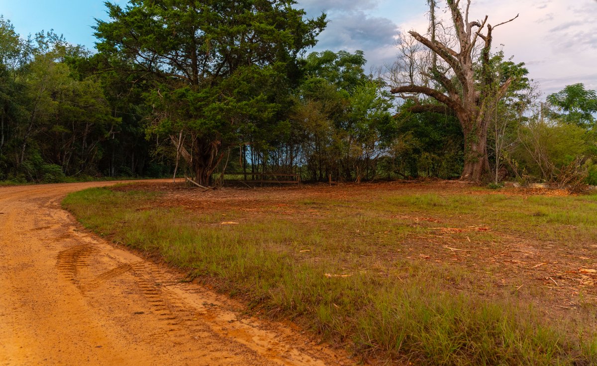 Image for The Moore Farm - 258± Acres Row Crop Farmland, Timber, Creek Bottoms, & Food Plots - Premier Recreational Tracts w/ Improvements