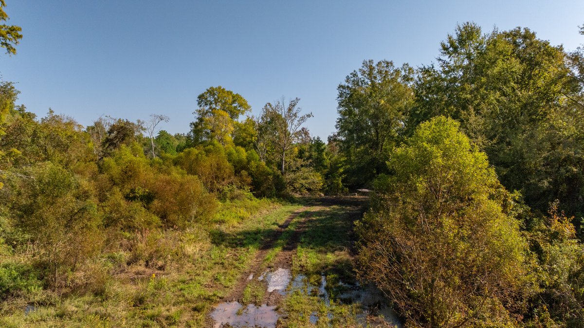 Image for The Hinson Farm – 191+/- Acres - Recreational Paradise with Income-Producing Potential in Dodge County, GA