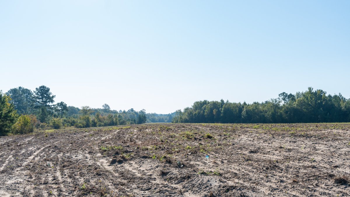 Image for The Hinson Farm – 191+/- Acres - Recreational Paradise with Income-Producing Potential in Dodge County, GA