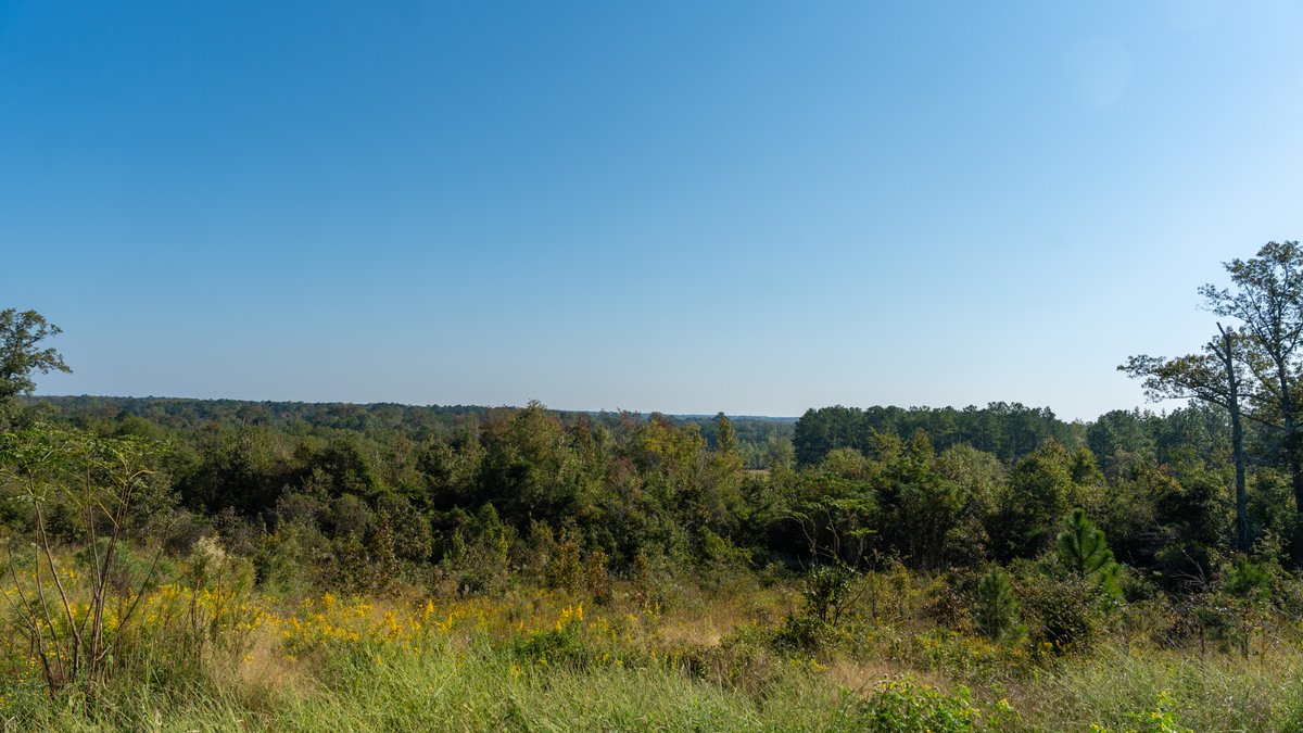 Image for The Hinson Farm – 191+/- Acres - Recreational Paradise with Income-Producing Potential in Dodge County, GA