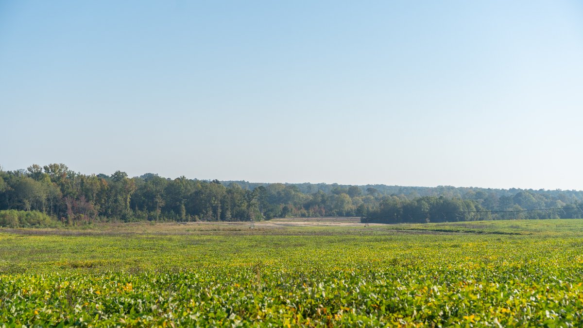 Image for The Hinson Farm – 191+/- Acres - Recreational Paradise with Income-Producing Potential in Dodge County, GA