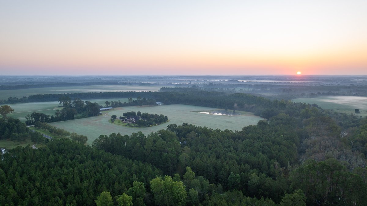 Image for The Massee Post Estate - 75+/- Acres with 6,700+/- Sq. Ft. Luxury Home in Cook County, Georgia
