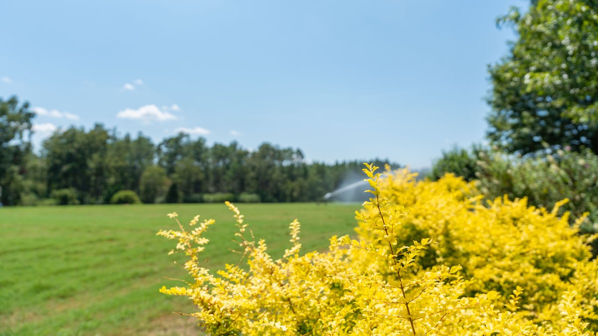 Image for The Massee Post Estate - 75+/- Acres with 6,700+/- Sq. Ft. Luxury Home in Cook County, Georgia