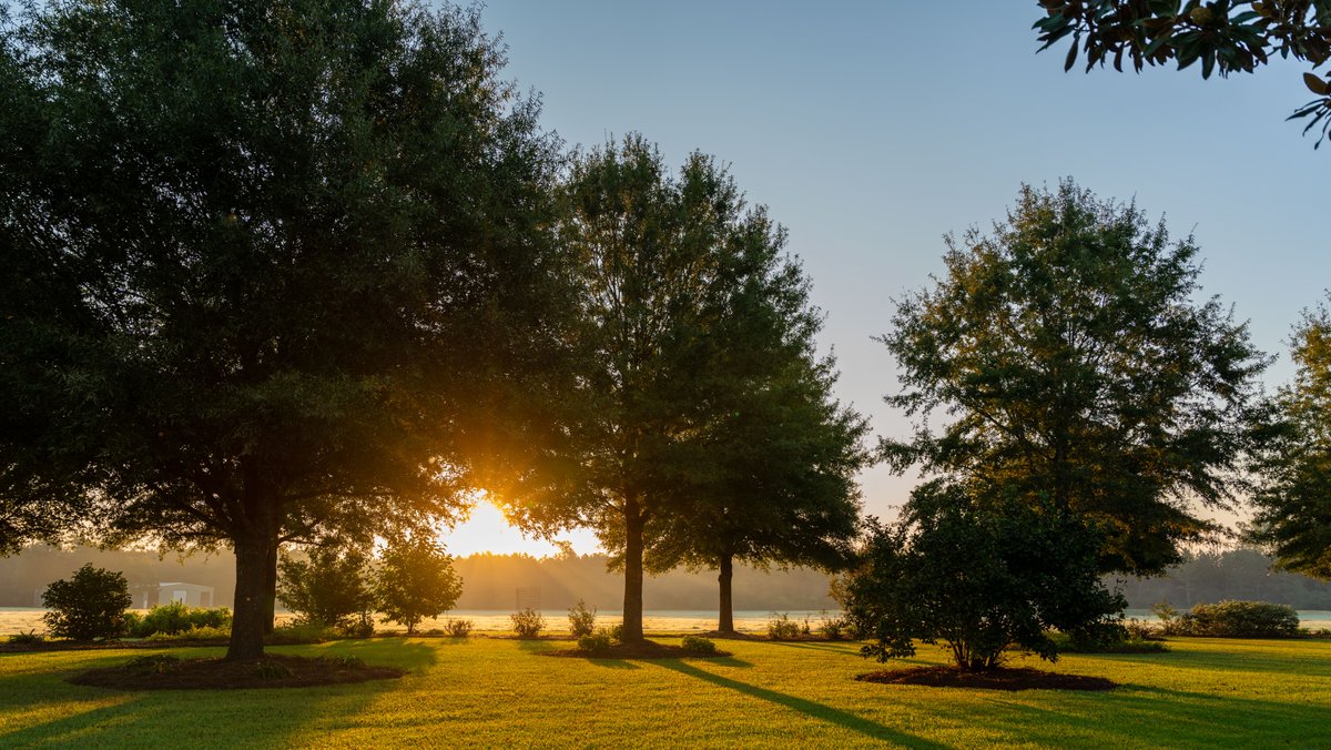 Image for The Massee Post Estate - 75+/- Acres with 6,700+/- Sq. Ft. Luxury Home in Cook County, Georgia