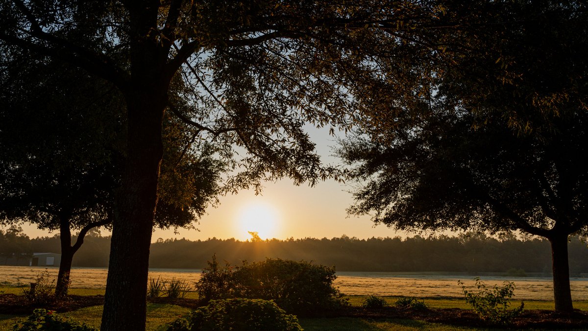 Image for The Massee Post Estate - 75+/- Acres with 6,700+/- Sq. Ft. Luxury Home in Cook County, Georgia
