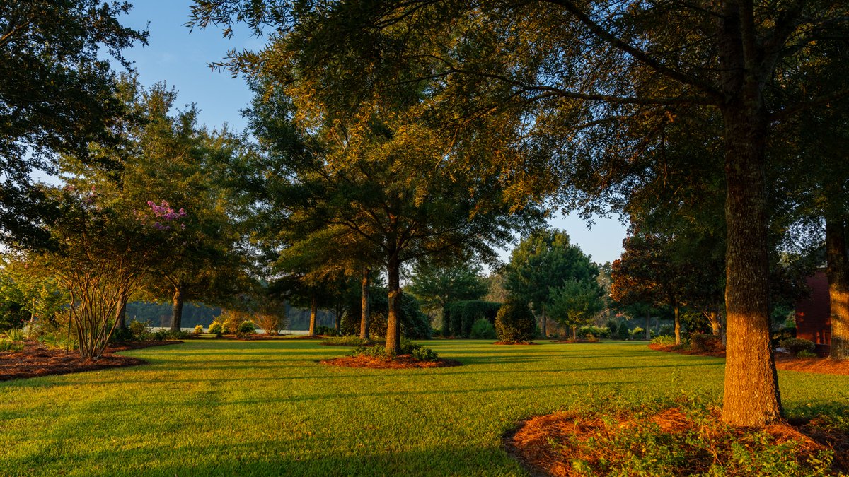 Image for The Massee Post Estate - 75+/- Acres with 6,700+/- Sq. Ft. Luxury Home in Cook County, Georgia