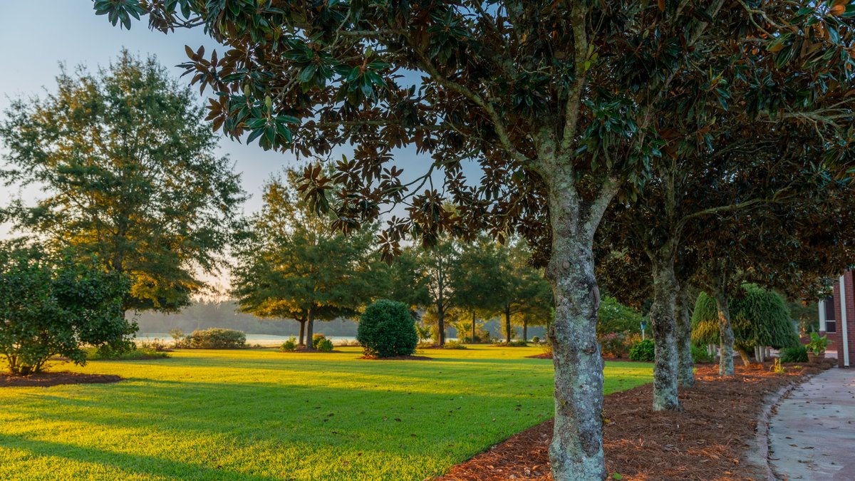Image for The Massee Post Estate - 75+/- Acres with 6,700+/- Sq. Ft. Luxury Home in Cook County, Georgia