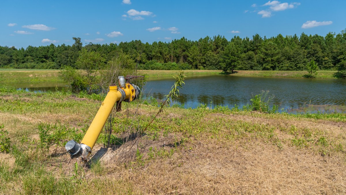 Image for The Massee Post Estate - 75+/- Acres with 6,700+/- Sq. Ft. Luxury Home in Cook County, Georgia