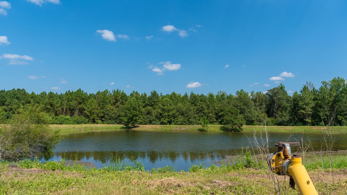 Image for The Massee Post Estate - 75+/- Acres with 6,700+/- Sq. Ft. Luxury Home in Cook County, Georgia