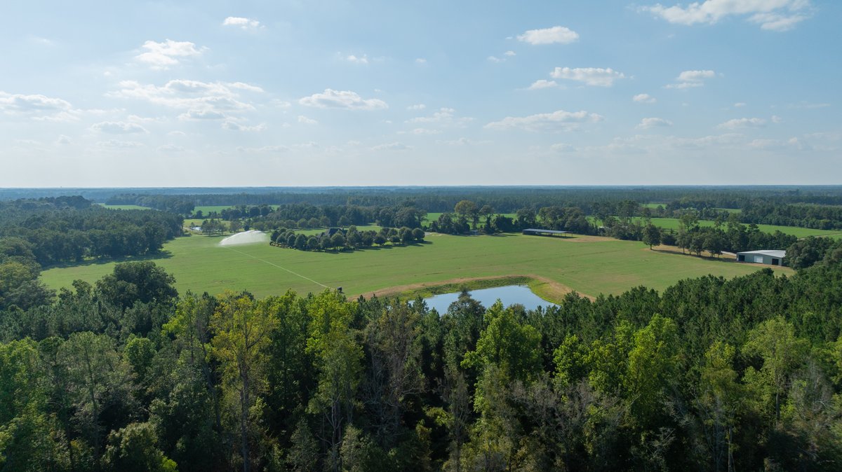Image for The Massee Post Estate - 75+/- Acres with 6,700+/- Sq. Ft. Luxury Home in Cook County, Georgia