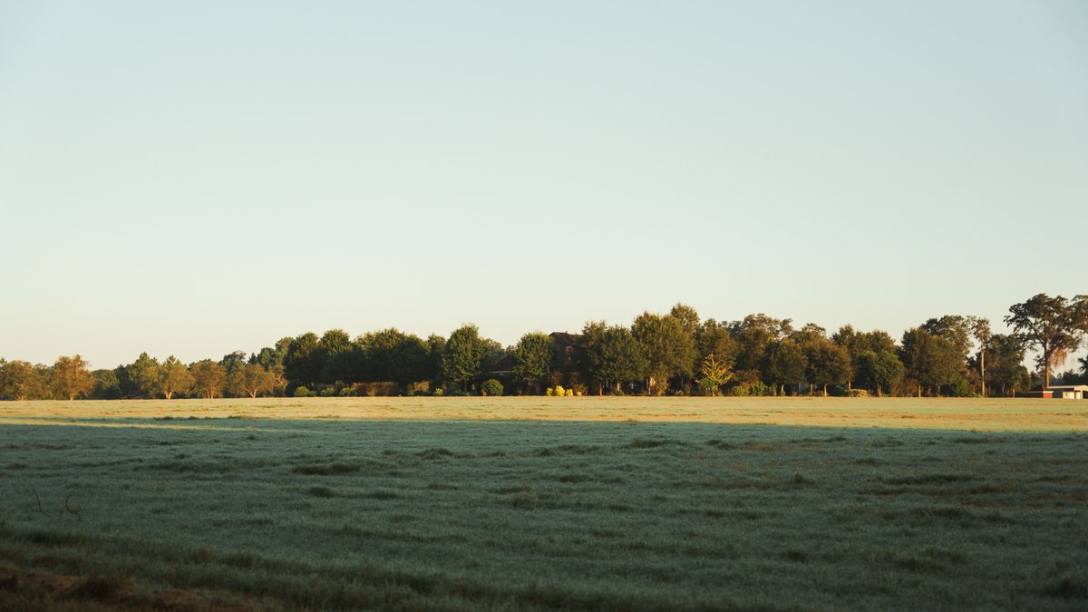 Image for The Massee Post Estate - 75+/- Acres with 6,700+/- Sq. Ft. Luxury Home in Cook County, Georgia