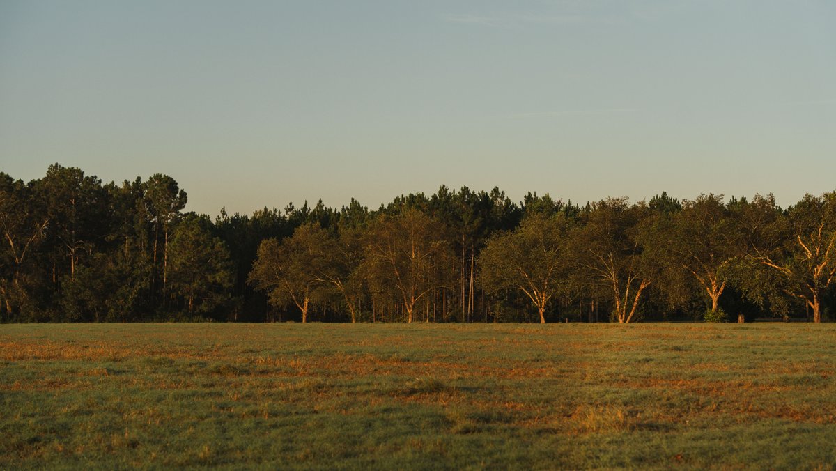 Image for The Massee Post Estate - 75+/- Acres with 6,700+/- Sq. Ft. Luxury Home in Cook County, Georgia