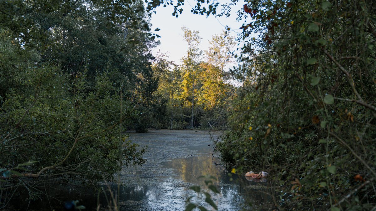 Image for The Massee Post Estate - 75+/- Acres with 6,700+/- Sq. Ft. Luxury Home in Cook County, Georgia